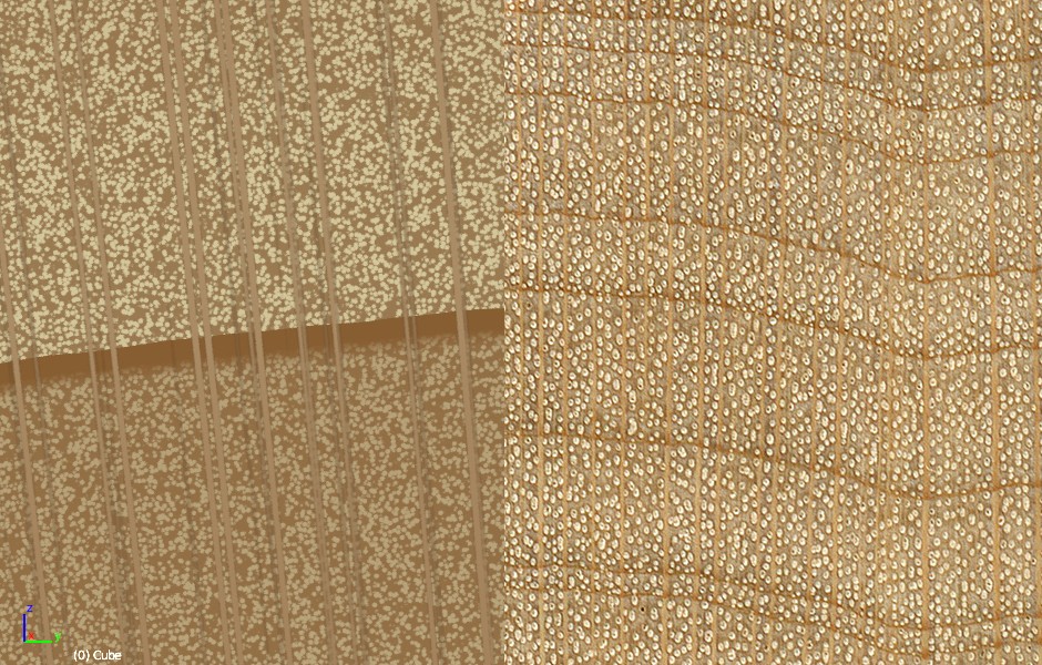 Cycles Procedural Wood - Maple preview image 4